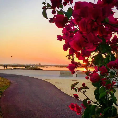 Fisherman's Cave Tatil Evi Faro